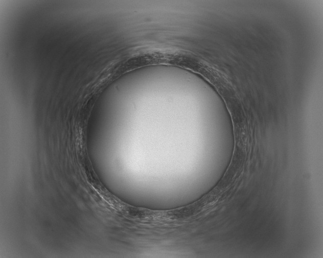 X0000082691061200702161718