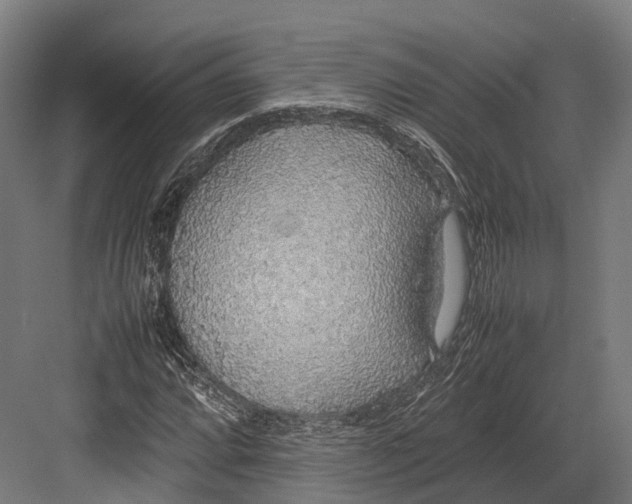 X0000082691064200702161718