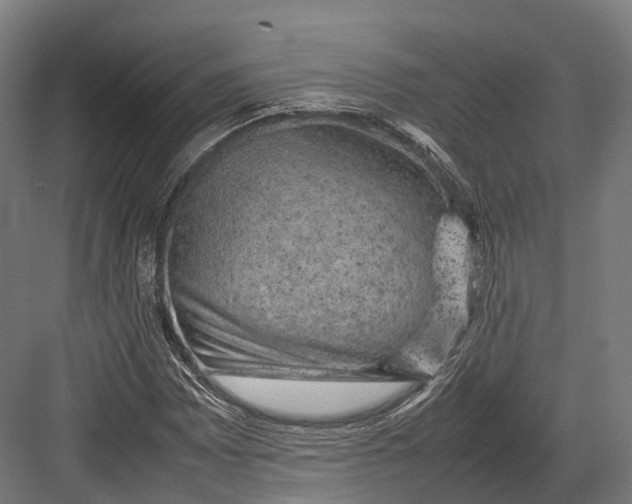 X0000082691065200702161718