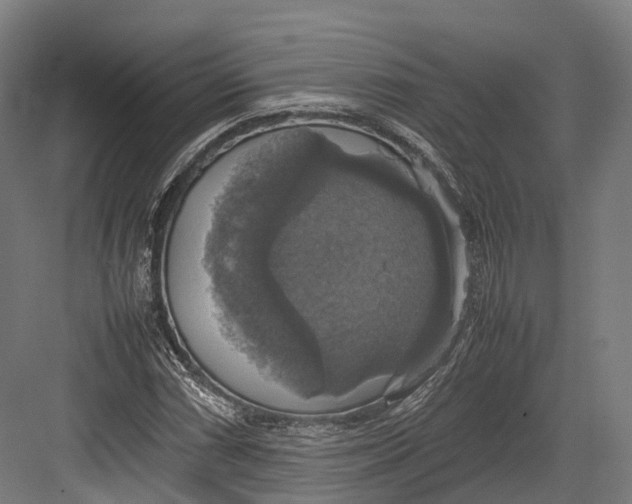 X0000082691066200702161718