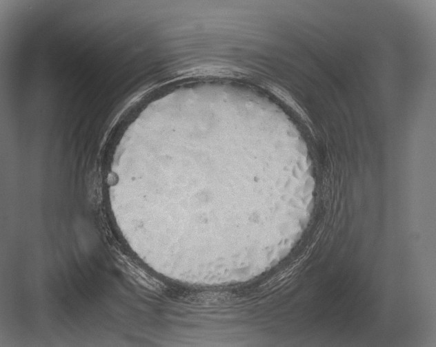 X0000082691067200702161718