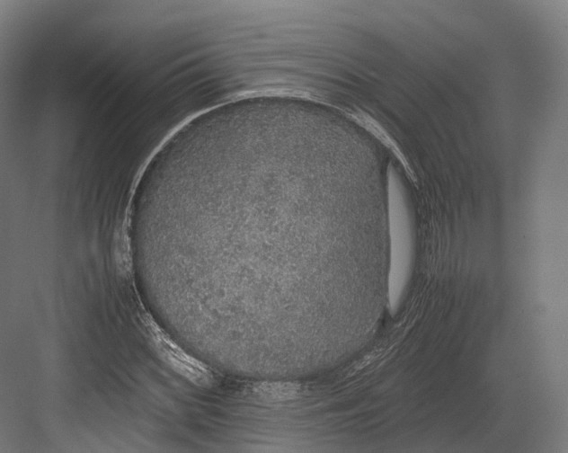 X0000082691068200702161718