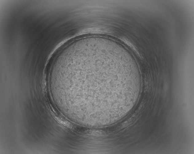 X0000082691070200702161718