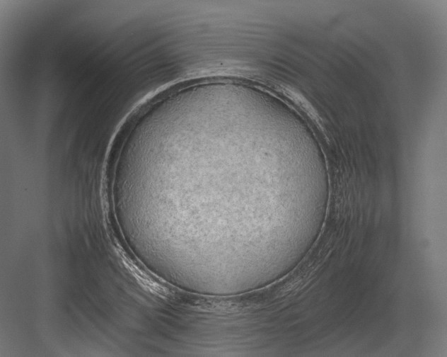 X0000082691072200702161718