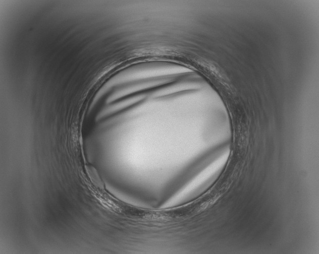 X0000082691073200702161718