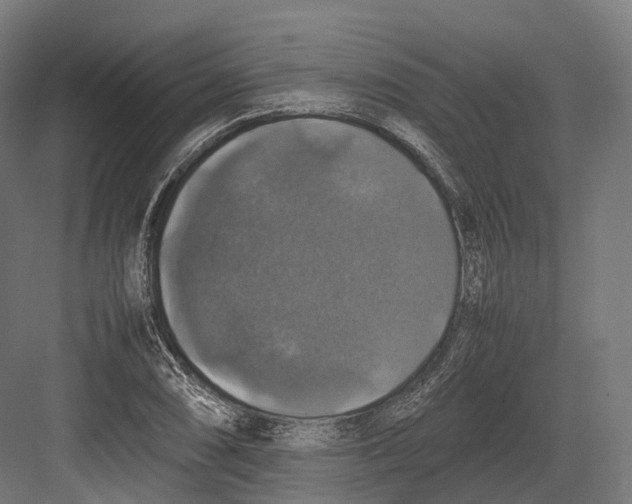 X0000082691074200702161718