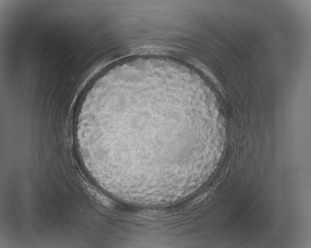 X0000082691075200702161718