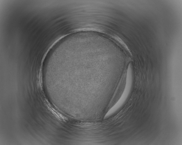 X0000082691076200702161718