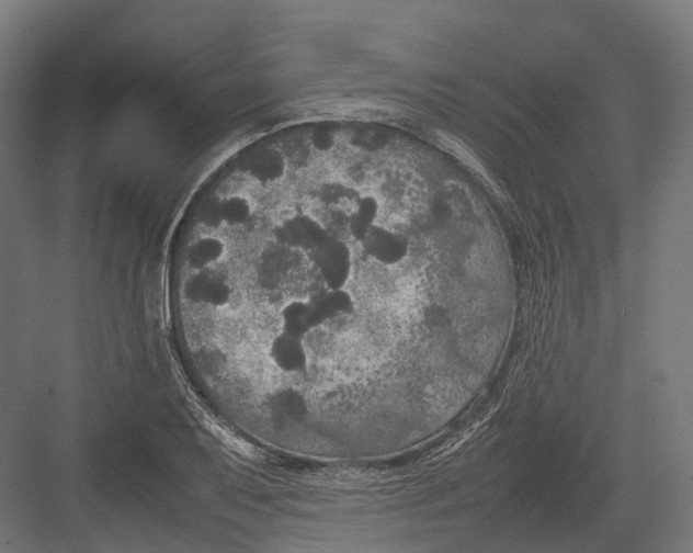 X0000082691079200702161718