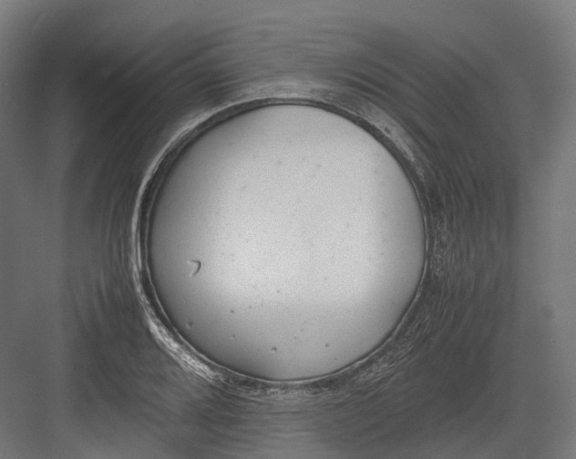 X0000082691080200702161718