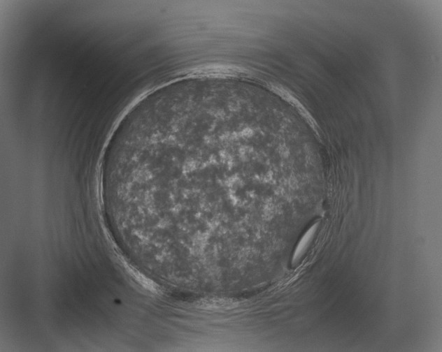 X0000082691083200702161718