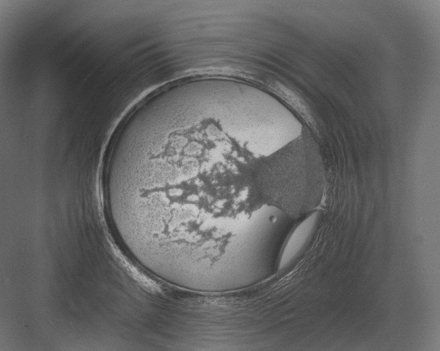 X0000082691084200702161718