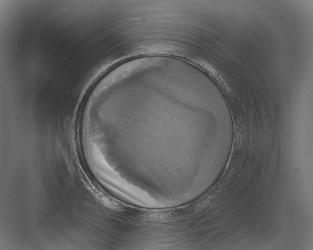 X0000082691086200702161718