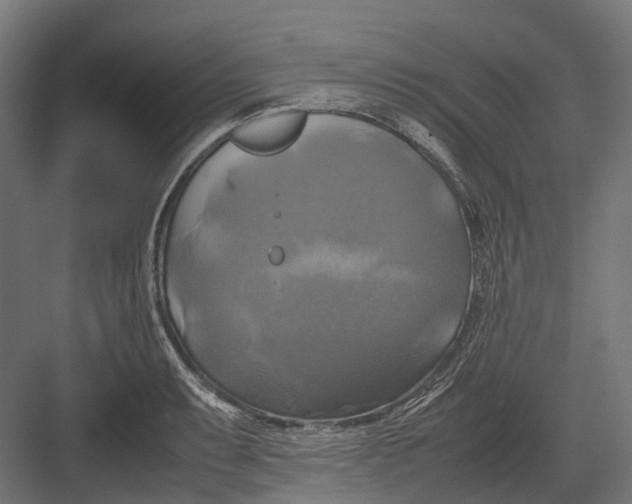 X0000082691087200702161718