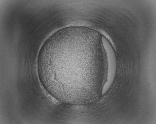 X0000082691088200702161718