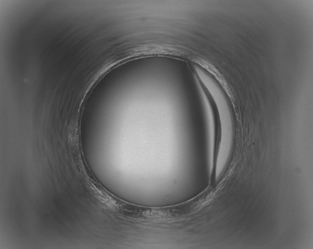 X0000082691089200702161718