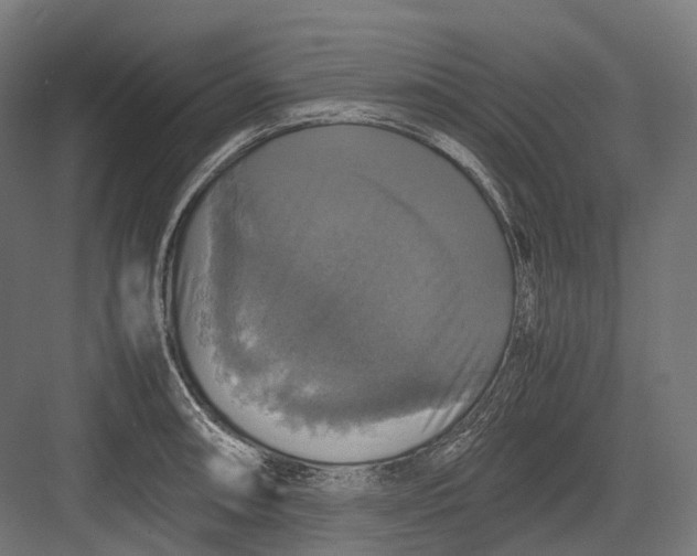 X0000082691090200702161718