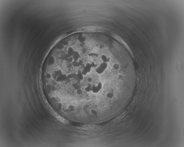 X0000082691091200702161718