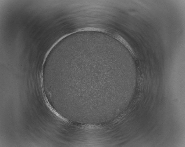 X0000082691092200702161718