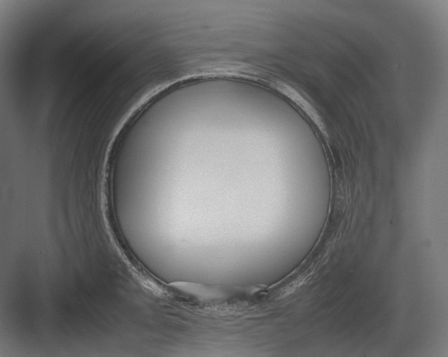 X0000082691093200702161718