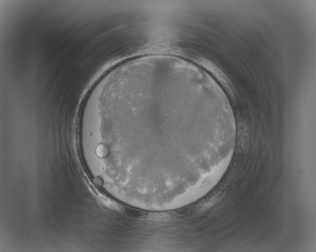 X0000082691094200702161718