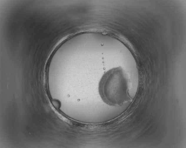 X0000082691095200702161718