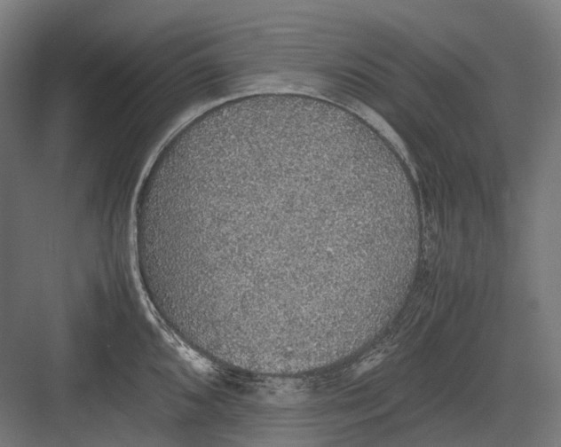 X0000082691096200702161718