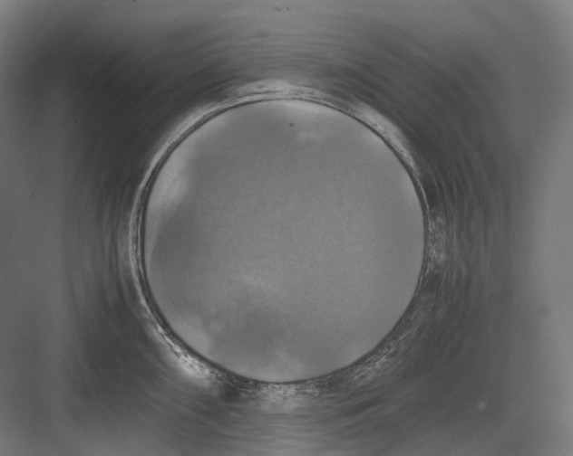 X0000082691098200702161717