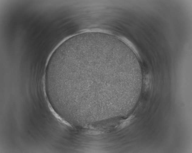 X0000082691100200702161717