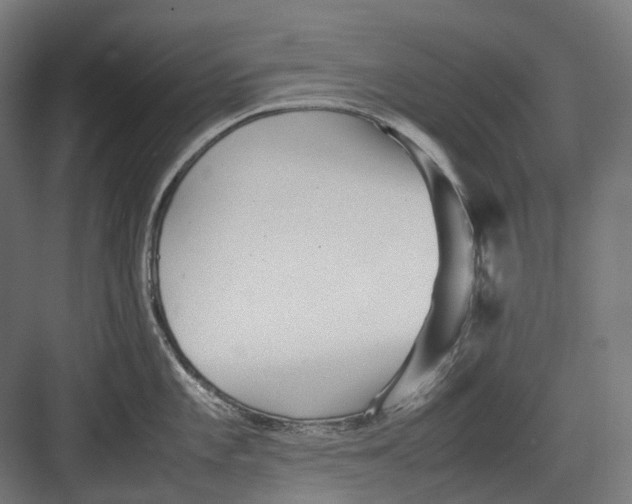 X0000082691101200702161717