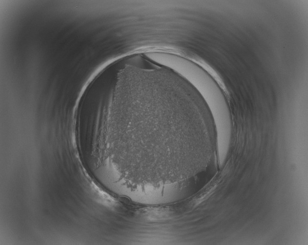 X0000082691102200702161717