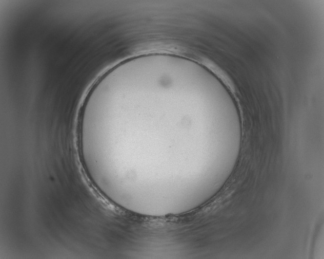 X0000082691104200702161717