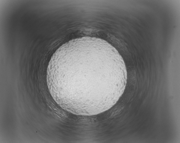 X0000082691105200702161717