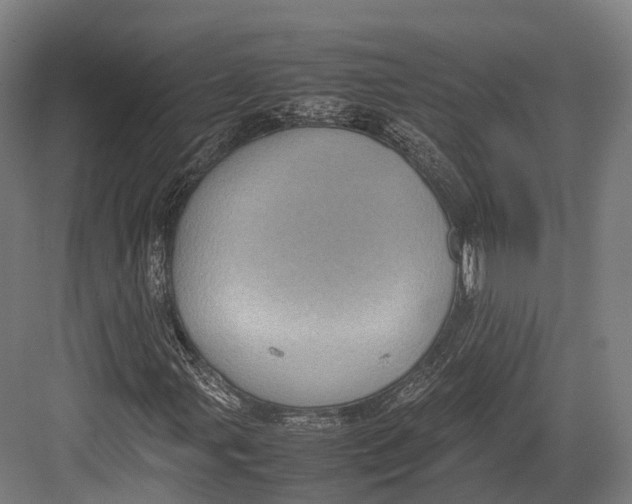 X0000082691107200702161717