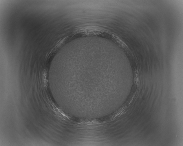 X0000082691108200702161717