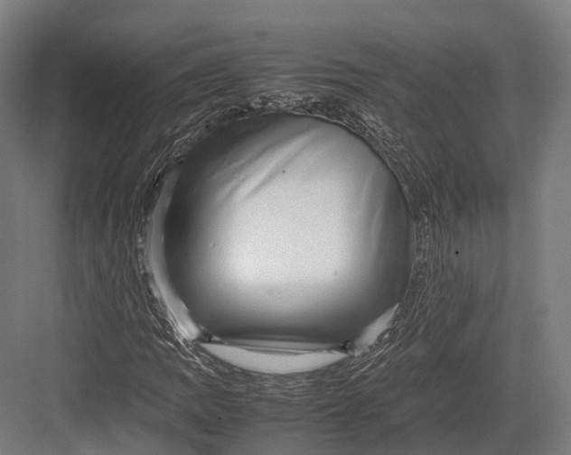 X0000082691109200702161717