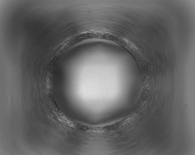 X0000082691110200702161717