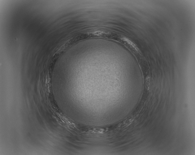 X0000082691111200702161717