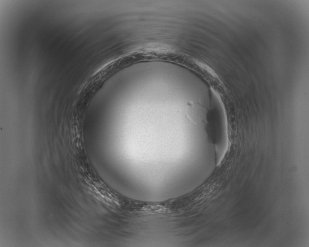 X0000082691112200702161717