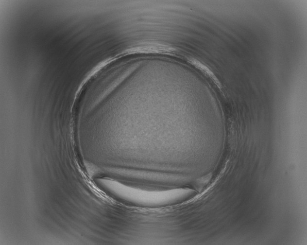 X0000082691114200702161717