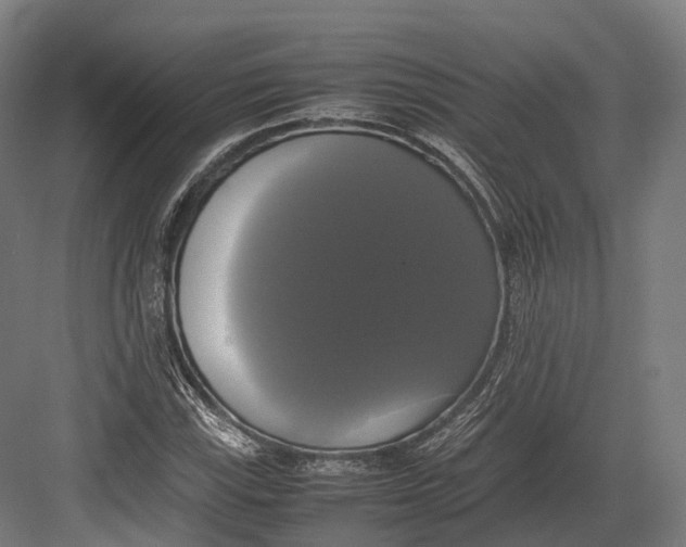 X0000082691115200702161717