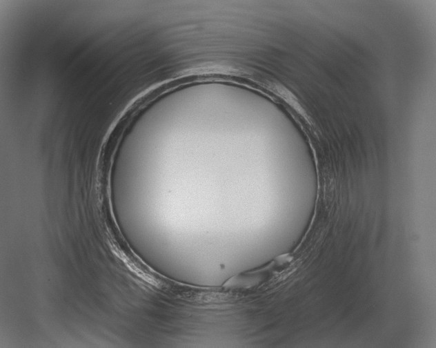 X0000082691116200702161717