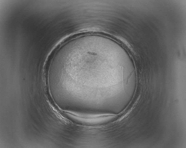 X0000082691118200702161717