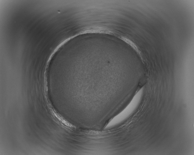 X0000082691120200702161717