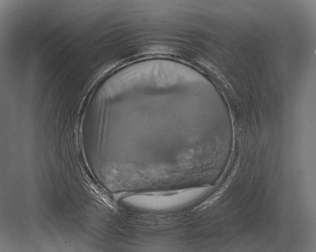 X0000082691121200702161717