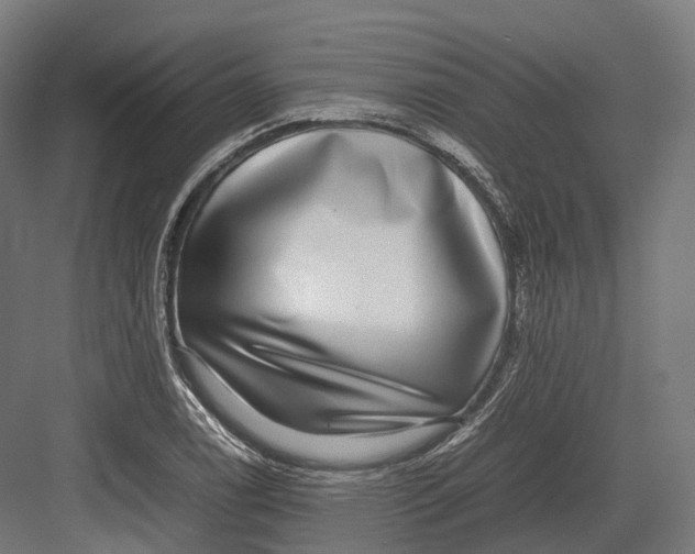 X0000082691122200702161717