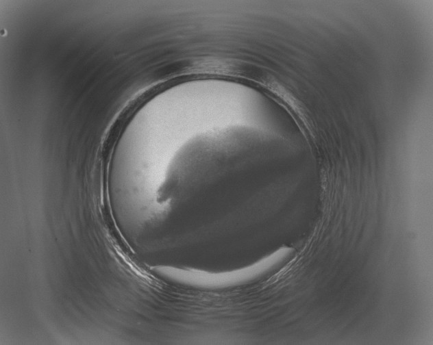 X0000082691123200702161717