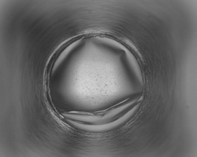 X0000082691124200702161717