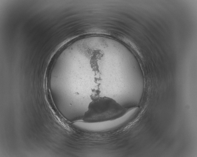 X0000082691125200702161717