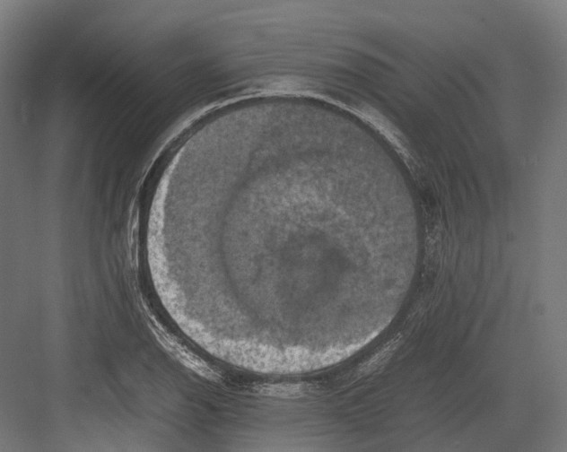 X0000082691126200702161717